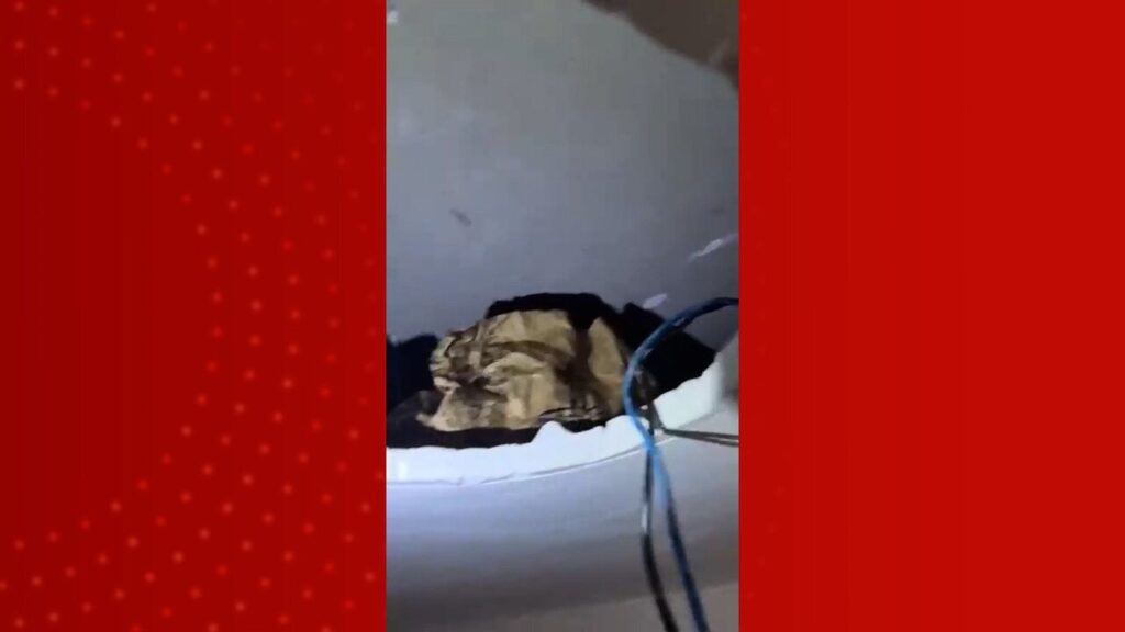 Polícia Encontra Droga Oculta em Forro de Residência em São Luís Imagem do artigo