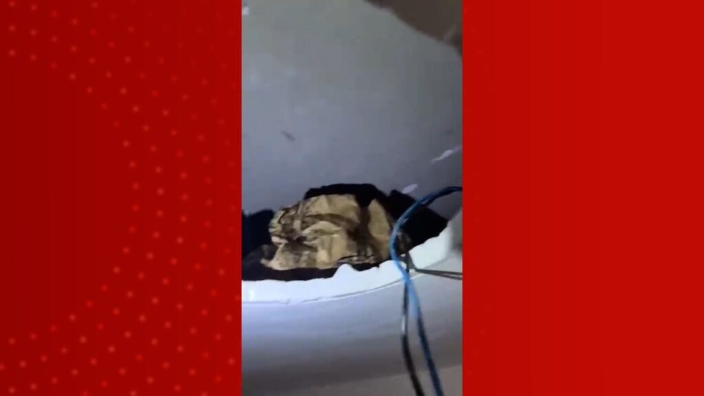 Homem Detido em São Luís: Polícia Descobre Drogas Escondidas em Forro Imagem do artigo