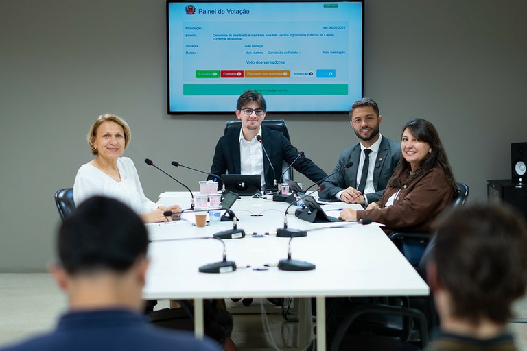 Cultura do Artesanato em Curitiba: Projeto de Lei para Valorização em Votação Imagem do artigo