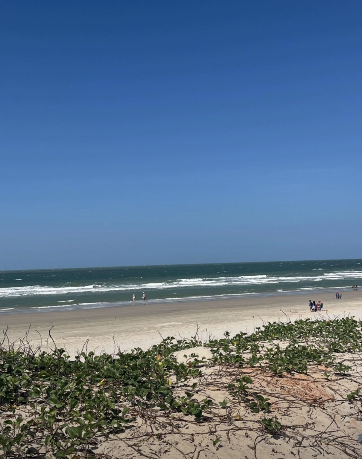 Beleza Inusitada: Mar de São Luís Surpreende com Coloração Verde