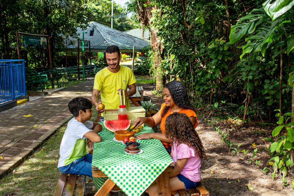 Férias no Parque Botânico Vale: Piquenique Gratuito e Diversão para a Família Férias no Parque Botânico Vale: Piquenique Gratuito e Diversão para a Família