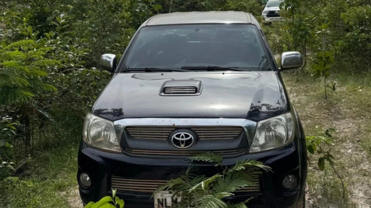 Mistério em Sítio Novo: Dois Corpos Encontrados em Caminhonete na Zona Rural