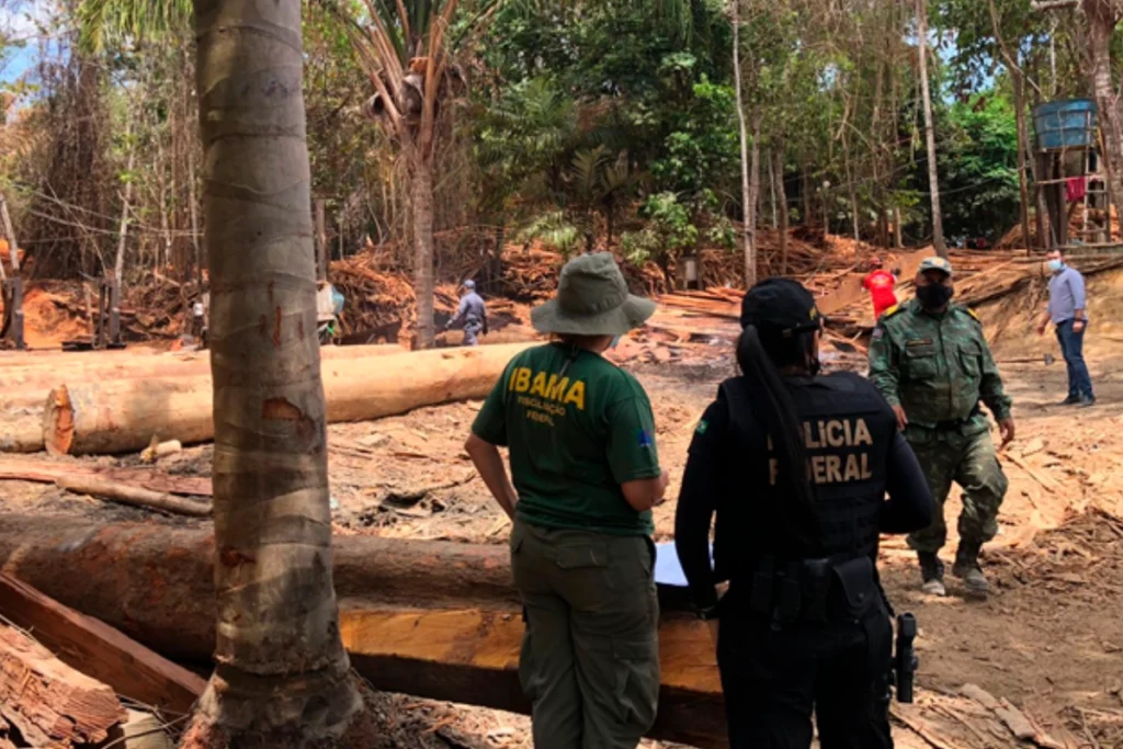 MPF Solicita Intervenção da Força Nacional para Combater Violência em Terra Indígena no Maranhão