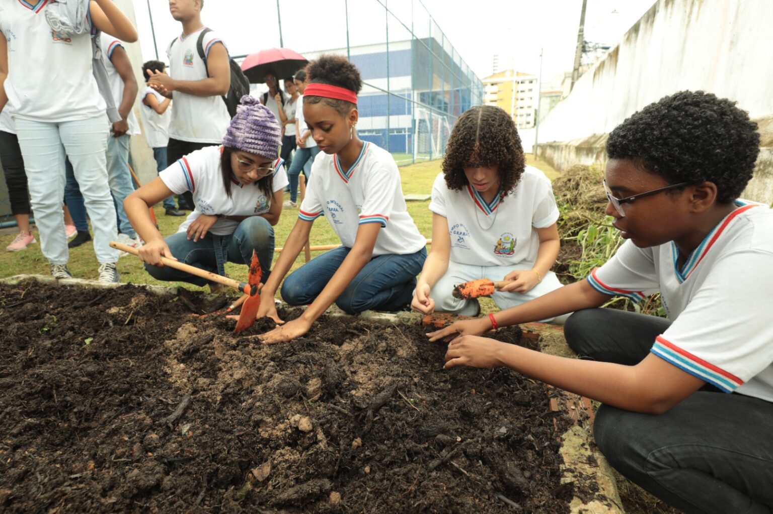 Refletir e Agir: A Importância do Dia Internacional da Educação Ambiental