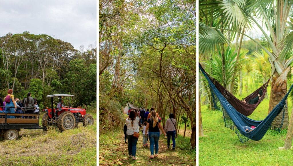 São Paulo Conecta Sustentabilidade e Cultura com o Programa SP Produz