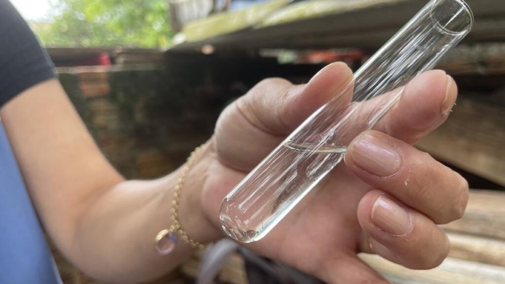 Aumento de Focos do Mosquito da Dengue em Rio Grande: Situação Alarmante