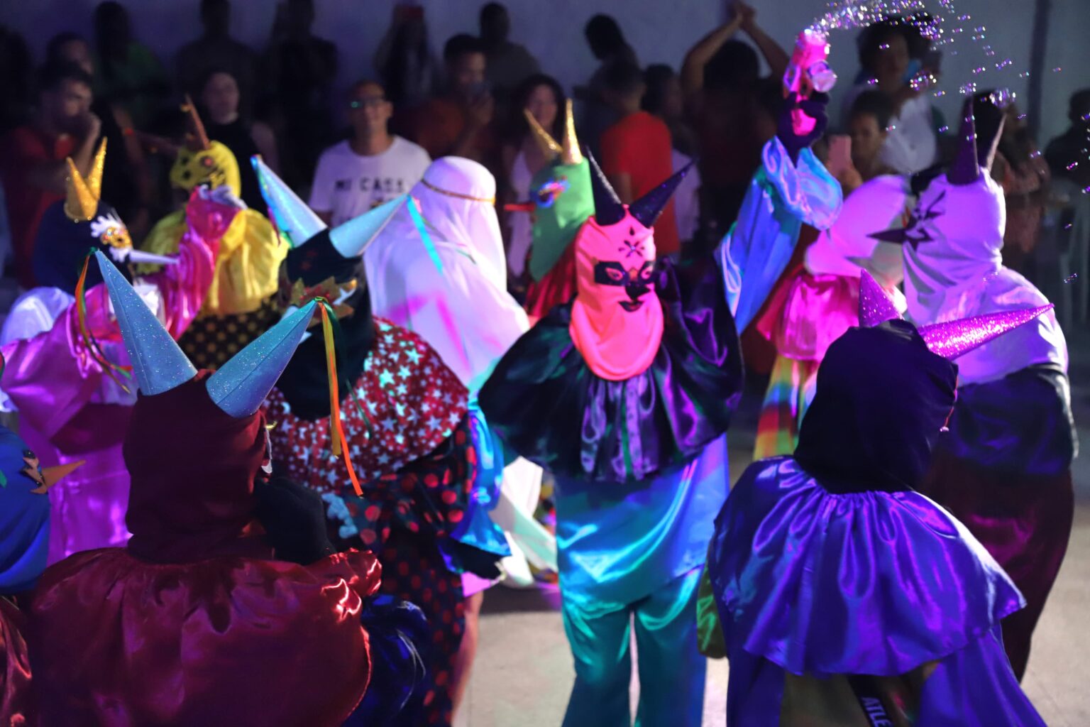 Baile de Carnaval em Cruz das Almas: Sucesso e Animação na Casa da Cultura