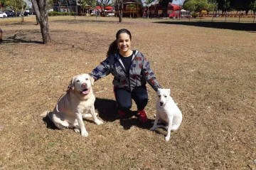 Educação em Quatro Patas: A Importância do Adestramento para seu Pet Educação em Quatro Patas: A Importância do Adestramento para seu Pet