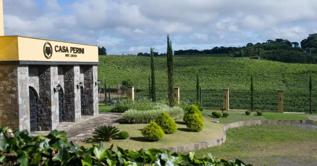 Imersão na Cultura da Colheita: Experiência Única na Casa Perini