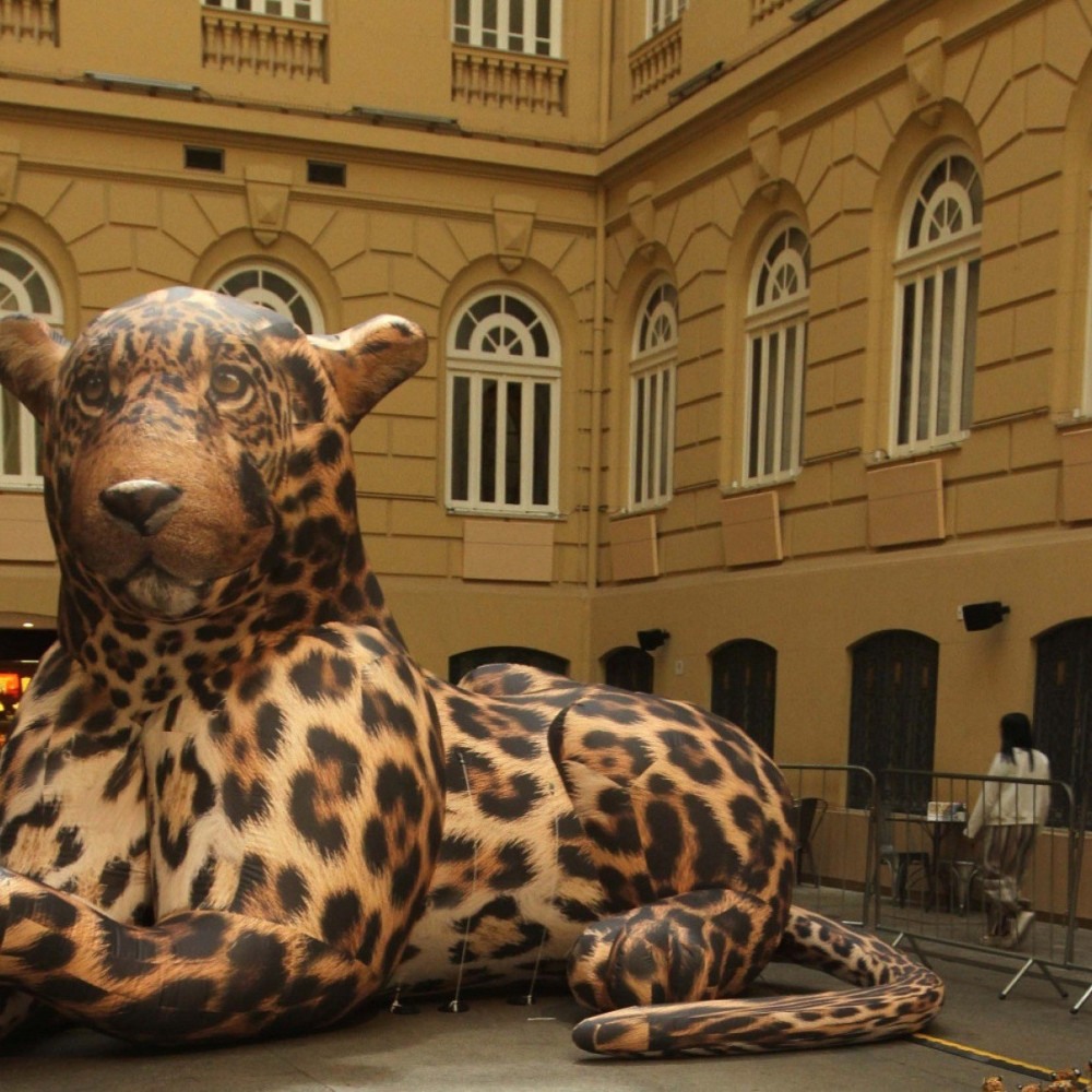 Exposição no CCBB-BH: O Meme Como Forma de Cultura e Crítica Social Exposição no CCBB-BH: O Meme Como Forma de Cultura e Crítica Social