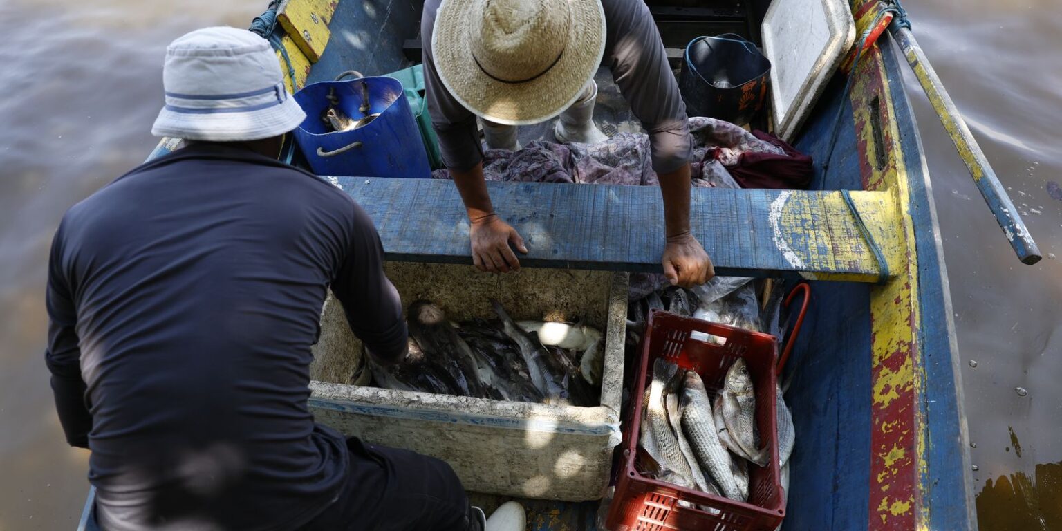 Pescadores Recebem 6º Lote do Seguro-Defeso: Benefício de R$ 179,7 Milhões