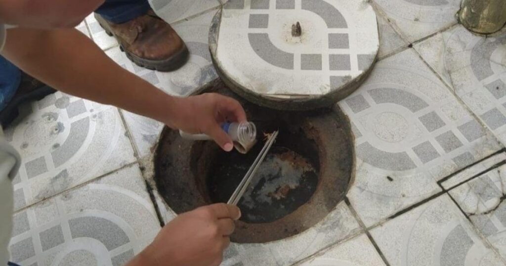 Prevenção e Atendimento a Picadas de Escorpião: Dicas da Saúde de Maceió