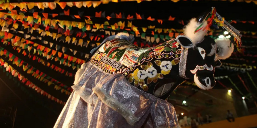 Explore a Alegria do São João: Grupos de Bumba Meu Boi em São Luís Explore a Alegria do São João: Grupos de Bumba Meu Boi em São Luís