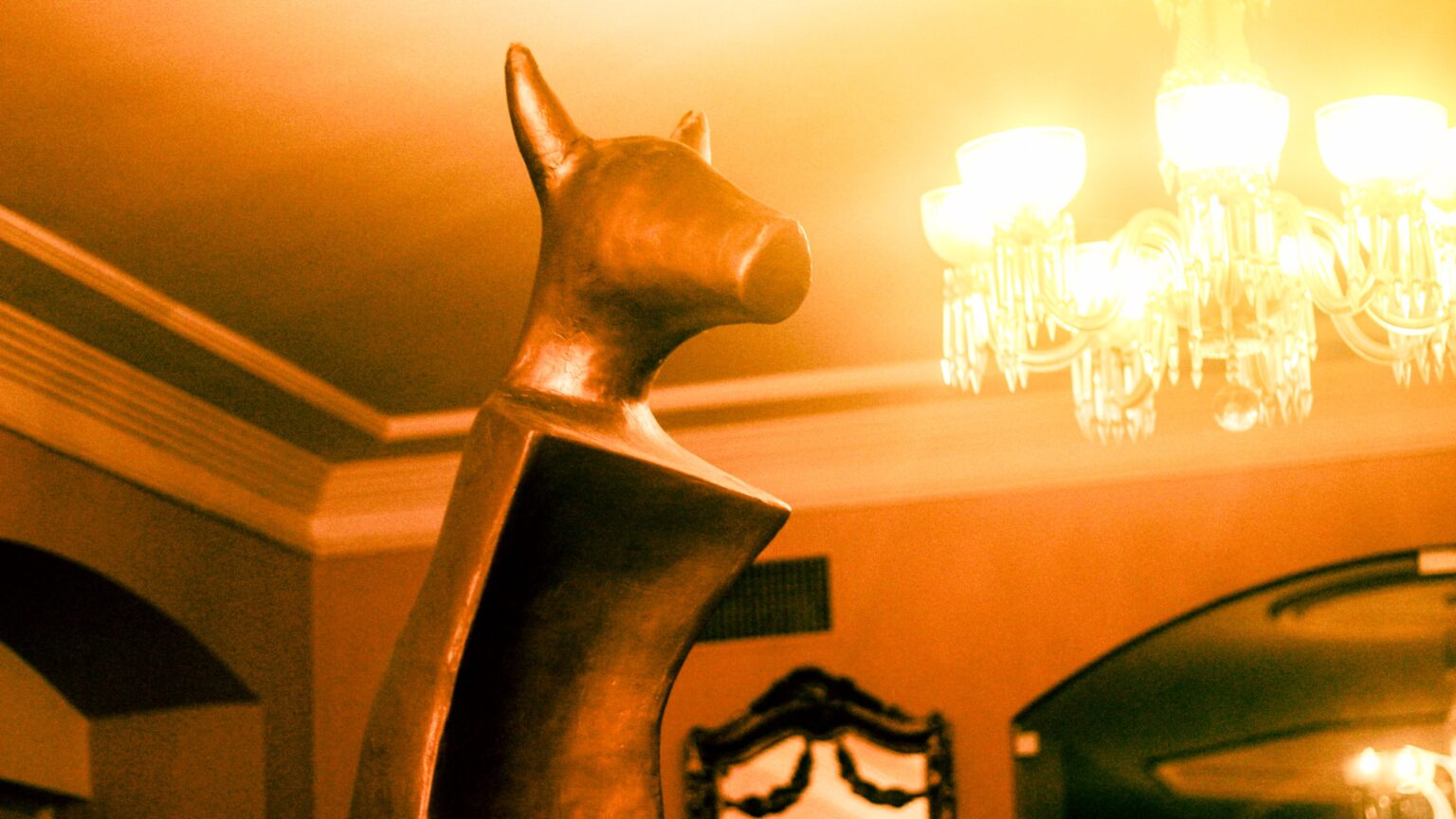 Festival Guarnicê Revela os Selecionados para 2026: Uma Nova Era do Cinema Brasileiro