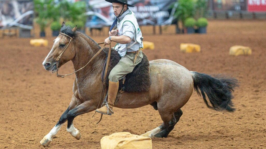 Rodeio Internacional de Pelotas: 29ª Edição Promete Receber 20 Mil Pessoas