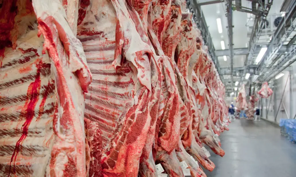 União Europeia Retira Brasil de Lista de Exportadores de Produtos Animais – O Impacto nas Relações C