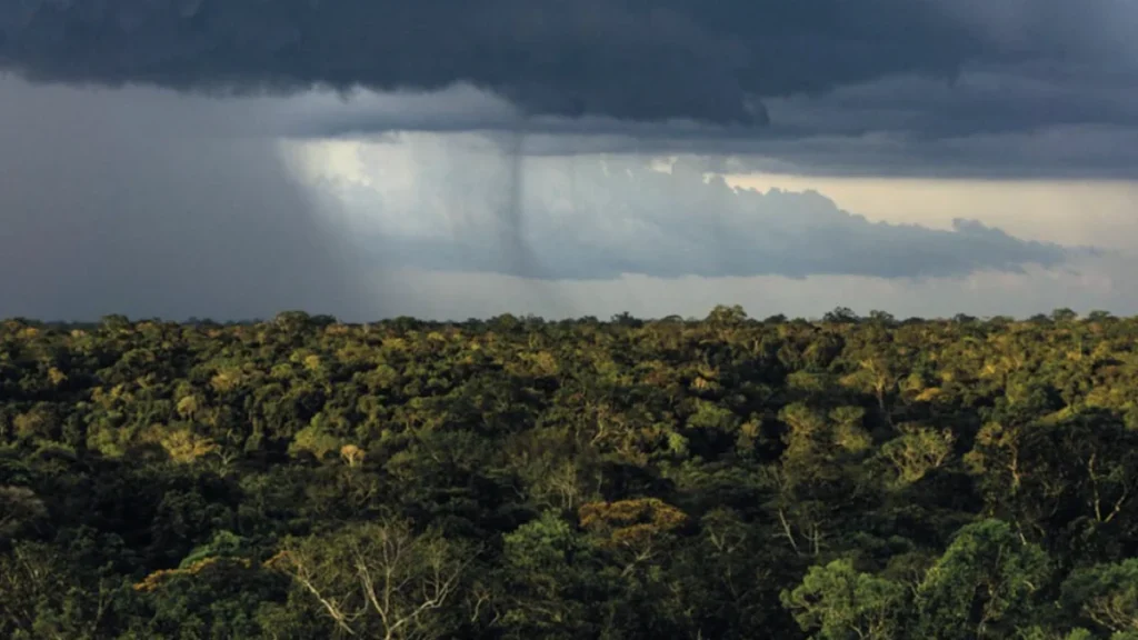 Mudanças Climáticas Aumentam Sensibilidade das Chuvas ao Desmatamento na Amazônia Mudanças Climáticas Aumentam Sensibilidade das Chuvas ao Desmatamento na Amazônia
