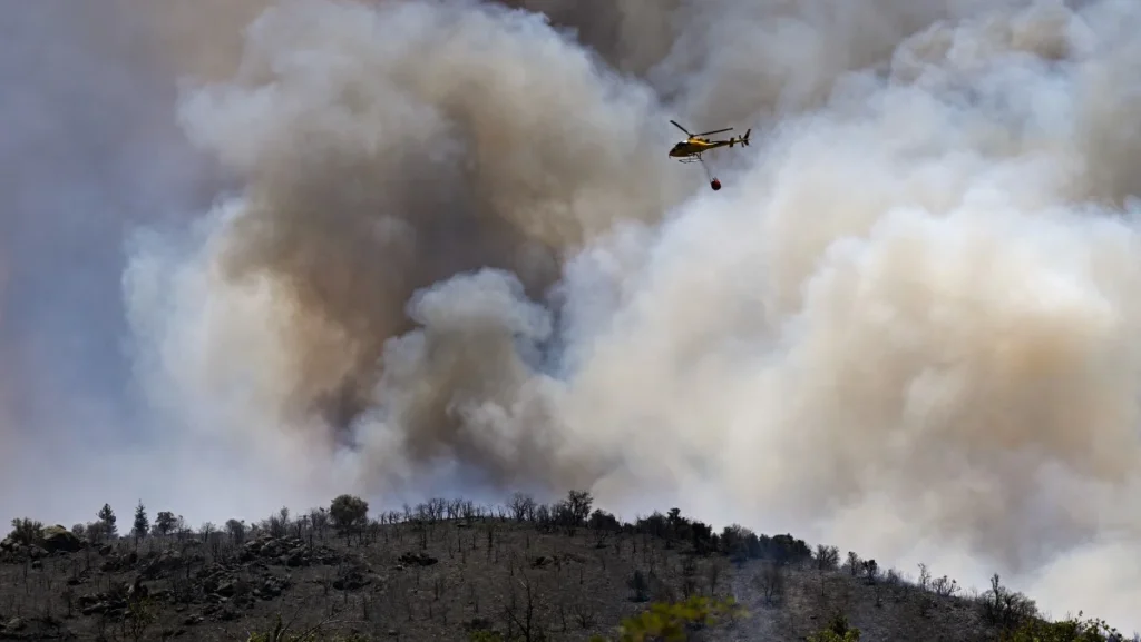 Incêndios na Europa Devastam 17 Mil Hectares em Meio à Onda de Calor Extrema