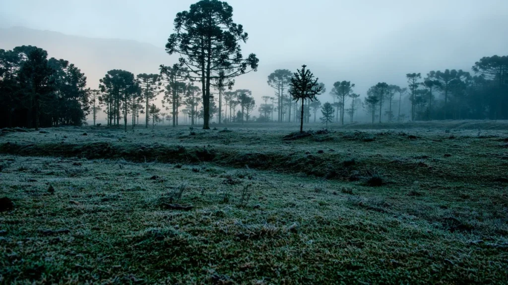 Mais frio e chuva acima da média: confira o clima do Brasil em julho 2026 Mais frio e chuva acima da média: confira o clima do Brasil em julho 2026